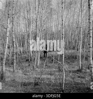 Region Donezk, ukrainische SSR, Sowjetunion, 1960er Jahre Ein atmosphärisches Schwarzweiß-Foto im mittleren Format, das eine Einzelfigur beim Spaziergang durch einen dichten Birkenhain zeigt. Der Mann, in einem dunklen Mantel gekleidet, bewegt sich von der Kamera weg in die Tiefe des Waldes, umgeben von dünnen weißen Baumstämmen. Der vertikale Rhythmus der Birken erzeugt ein faszinierendes Muster, das die Größe und Stille des Waldes unterstreicht. Ein philosophisches Bild des friedlichen Donbass, das die Suche nach Einsamkeit und Verbindung mit der Natur Mitte des 20. Jahrhunderts symbolisiert. Stockfoto