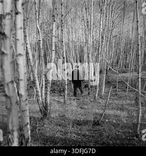 Region Donezk, ukrainische SSR, Sowjetunion, 1960er Jahre Ein atmosphärisches Schwarzweiß-Foto im mittleren Format, das eine Einzelfigur beim Spaziergang durch einen dichten Birkenhain zeigt. Der Mann, in einem dunklen Mantel gekleidet, bewegt sich von der Kamera weg in die Tiefe des Waldes, umgeben von dünnen weißen Baumstämmen. Der vertikale Rhythmus der Birken erzeugt ein faszinierendes Muster, das die Größe und Stille des Waldes unterstreicht. Ein philosophisches Bild des friedlichen Donbass, das die Suche nach Einsamkeit und Verbindung mit der Natur Mitte des 20. Jahrhunderts symbolisiert. Stockfoto