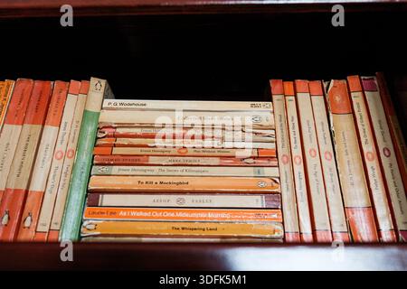 Northumberland UK: 19. Juli 2025: Ein Bibliotheksregal beherbergt eine vielfältige Sammlung von Penguin-Büchern mit Werken verschiedener Autoren mit berühmten orangen sp Stockfoto