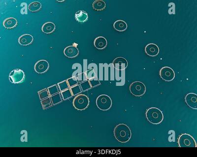 Luftaufnahme einer Fischfarm mit schwimmenden Käfigen auf der Wasseroberfläche. Moderne Aquakultur und nachhaltige Meeresfrüchteerzeugung. Stockfoto