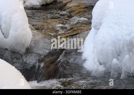 Ilsenburg, Sachsen-Anhalt, Deutschland, Nahaufnahme von Wasser, das sich durch vereiste und schneebedeckte Ufer der Ilse im Nationalpark Harz an der hei schlängelt Stockfoto
