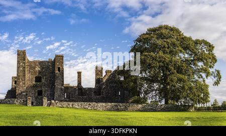 Ruinen der alten Abtei und 3 Vögel, die auf dem Turm landen, mit großem grünen Baum an der Seite und Gras in Vorderansicht Stockfoto