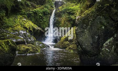 Kleine Kaskade an einem Gebirgsbach oder Creek, zwischen bemoosten Felsen, Wasser unter Steinen, Herbst, Wicklow, Irland fließenden Stockfoto