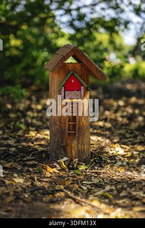 Feentüren und Fenster auf Baumstamm im Wald für die kleinen Menschen, Irland Stockfoto