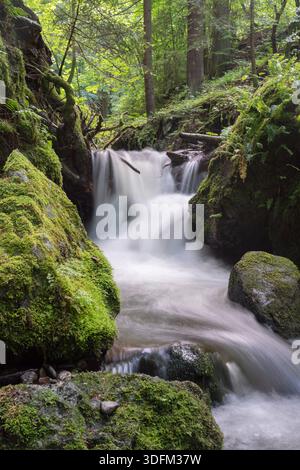 Der Blick auf den kaskadierenden Wasserfall stürzt über moosbedeckte Felsen und schafft eine ruhige Szene inmitten des üppigen grünen Waldes, Kremnicke vrchy, Banskobystricky Kr Stockfoto