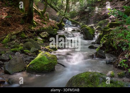 Blick auf einen kaskadierenden Bach, der über moosbedeckte Felsen fließt, Sonnenlicht, das durch die üppigen grünen Bäume filtert und eine ruhige Landschaft schafft, Kremnicke vr Stockfoto
