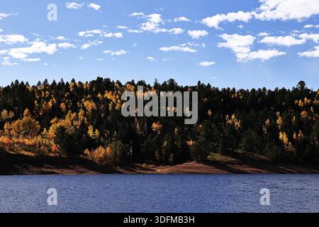 Golden aspens and evergreens line a quiet reservoir, reflecting bright blue sky and hills on Pikes Peak Highway near Colorado Springs, Colorado, USA. Stockfoto
