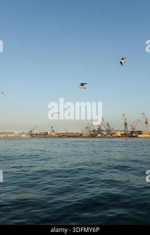 Möwen fliegen über Port Said Hafen mit Kränen und Schiffen, Ägypten. Stockfoto