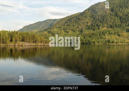 Blick auf das ruhige Wasser, das den üppigen, grünen Wald spiegelt, der sich an den steilen Bergen unter einem weichen Himmel anschmiegt und eine ruhige Landschaft schafft, Nissedal, Tele Stockfoto