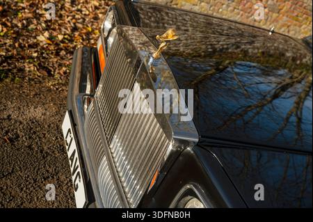 1986 Rolls Royce Camargue, ein klassisches britisches Luxuscoupé Stockfoto