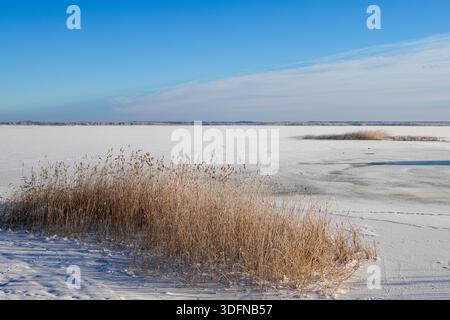 Winterblick auf den Liepaja-See mit gefrorenem Wasser, trockenem Schilf und subtilen Eisstrukturen unter einem ruhigen blauen Himmel, der die ruhige Natur der Ostsee einfängt Stockfoto