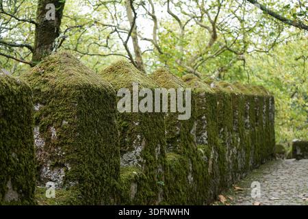 Weg nach Castelo dos Mouros in Sintra, Portugal Stockfoto
