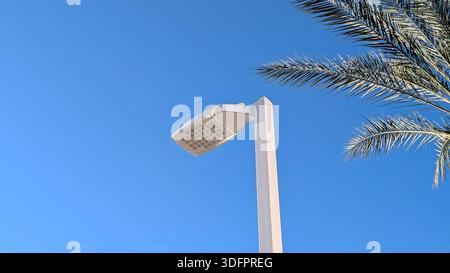 Energieeffiziente moderne LED-Straßenleuchte auf weißem Mast, Palmenfronten und blauem Himmel mit Kopierraum Stockfoto