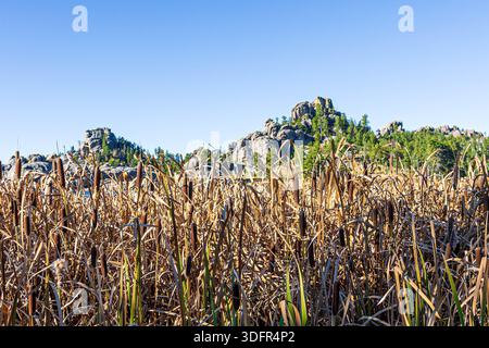 Wunderschöne Landschaft rund um Sylvan Lake im Custer State Park in South Dakota. Stockfoto