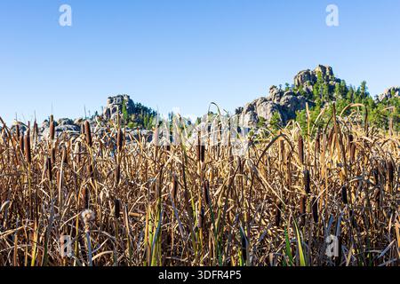 Wunderschöne Landschaft rund um Sylvan Lake im Custer State Park in South Dakota. Stockfoto
