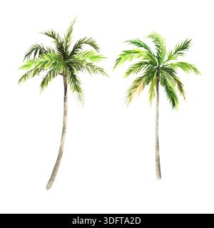 Zwei Aquarellpalmen, Illustration der Sommerstrandpflanze, grüne Blätter, handgezeichnete Skizze der Malediven, Kuba, Bali Urlaub, tropische Insel, beac Stockfoto