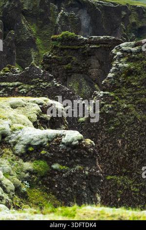 Blick auf moosbedeckte Felsen, die einen grünen Pfad durch das Herz des Canyons ziehen, ein Zeugnis der Kunstfertigkeit der Natur und der Umarmung der Zeit, Kirkjubaejarklaustu Stockfoto
