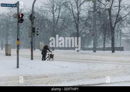 Eine ältere Frau überquert die verschneite Straßenkreuzung mit einem Wanderer während des Winters und der vereisten Straßen. Ampeln und schlechte Sicht betonen Stockfoto