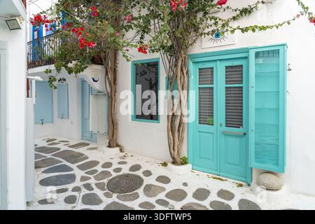 Blick auf einen leuchtenden türkisfarbenen Tür- und Fensterrahmen, umgeben von Kletterstöcken mit roten Blumen an einer weißen Wand in Mykonos, Griechenland, Mykonos, Stockfoto