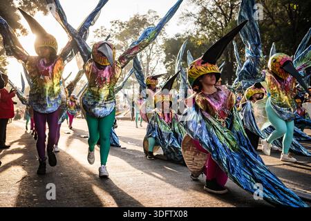 Mexiko-Stadt, Mexiko - 05. November 2023: Blick auf die pulsierenden Teilnehmer der Parade in ausgeklügelten Kolibri-Kostümen, die den sonnendurchfluteten Tag der DEA hinuntermarschieren Stockfoto