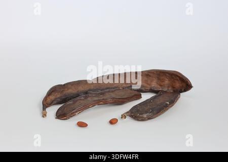 Isolierte Johannisbrot (Johannisbrot) auf weißem Hintergrund Stockfoto