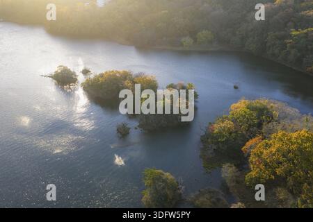 Aus der Vogelperspektive auf Inseln mit herbstlichen Bäumen, die sich im Wasser spiegeln, eine atemberaubende Mischung aus warmen Farbtönen und kühlen Reflexen, Itō, Shizuoka, Japan. Stockfoto