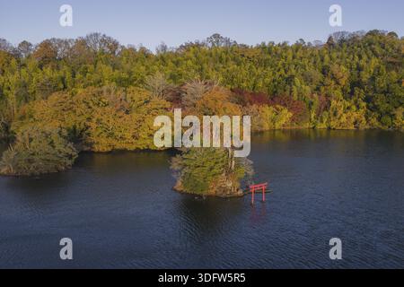 Der Blick aus der Vogelperspektive auf das leuchtend rote Torii-Tor steht in krassem Kontrast zum ruhigen, dunklen Wasser, das eine kleine Insel, Itō, Shizuoka, Japan, umgibt. Stockfoto