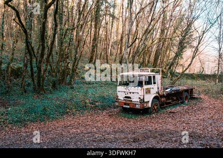 La Roque-Gageac, Dordogne, Frankreich - 13. Januar 2026: Ein verlassener Lkw sitzt in einem Waldgebiet bei La Roque-Gageac in der französischen Region Dordogne Stockfoto