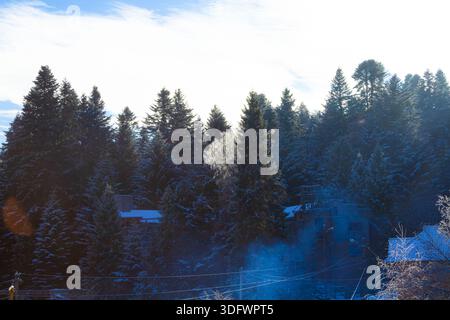 Wunderschöner und eiskalter Sonnenaufgang nach starkem Schneefall in den Karpaten. Sonnenstrahlen durch den Wald im Dorf. Hochwertige Fotos Stockfoto