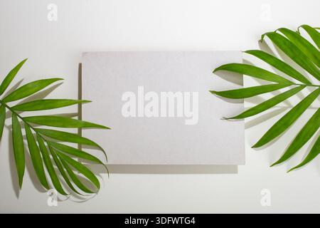 Graue rechteckige Karte Zementpodium oder Visitenkarte auf grauem Hintergrund mit Palmblättern und Schatten, abstrakte Anzeige Stockfoto
