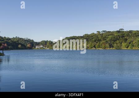 Tolles Konzept des Herbstes, schöne Bäume der Gattung Platanus mit rötlichen Blätter die Signalisierung der Fallen, San Bernardo See in San Francisco de Paula, Br Stockfoto