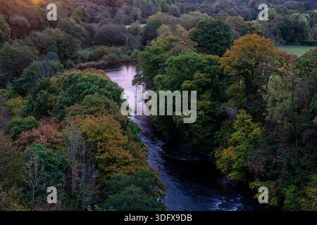 Sonnenaufgangslicht breitet sich über den Fluss Dee aus, während er sich durch dichten Herbstwald schlängelt Stockfoto