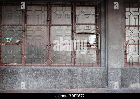 Ein Frontalblick auf eine alte Gebäudefassade mit einem rostigen geometrischen Sicherheitsgitter aus Metall über strukturierten Glasfenstern, Arbeitshandschuhen und einem kleinen Stockfoto