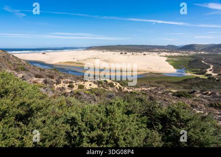 Toller Blick auf die Vegetation und den Strand von Pontal da Carrapateira in Portugal. Stockfoto