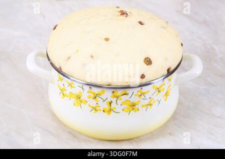 Süßer Hefeteig mit Rosinen von einer Hausfrau gebacken werden vorbereitet Stockfoto