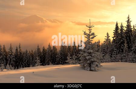 Fantastischer orangener Sonnenuntergang in verschneiten Bergen. Winterlandschaft mit schneebedeckten Bäumen und schneebedeckten Gipfeln. Weihnachtsferienkonzept Stockfoto