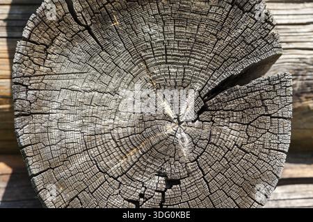 Textur der verwitterten rissige Ende des Protokolls des alten Holzhauses Stockfoto