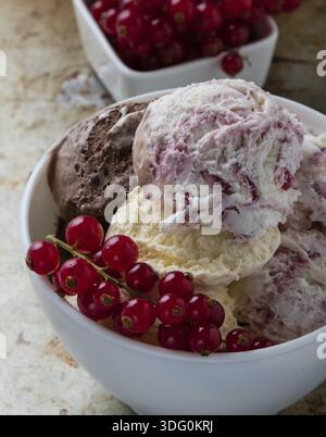 Hausgemachtes Eis mit Johannisbeere in einer weißen Schüssel Stockfoto