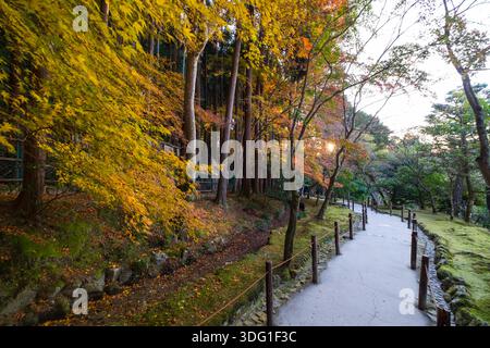 Ein malerischer Pfad schlängelt sich durch die bewaldeten Hügel über dem Ginkaku-JI-Tempel in Kyoto, Japan. Das Bild zeigt das lebhafte herbstliche Laub mit Bäumen di Stockfoto
