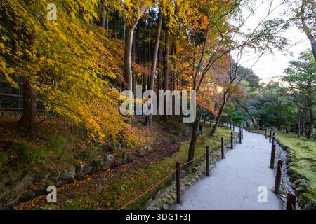 Ein ruhiger Pfad schlängelt sich durch die bewaldeten Hügel oberhalb von Ginkaku-JI in Kyoto, Japan. Die Szene fängt den Übergang des Herbstes mit leuchtendem goldenem f ein Stockfoto