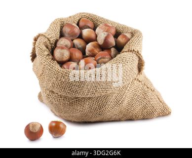 Haselnüsse im Leinensack isoliert auf weißem Hintergrund Stockfoto