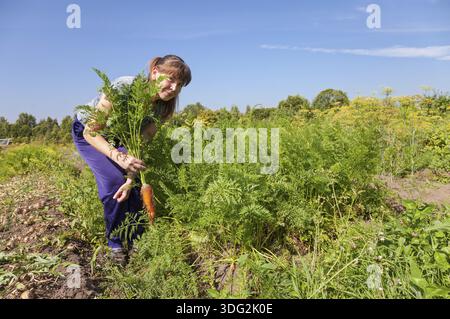 Junge Frau Gärtner hält eine Garbe von Karotten in ihrem Garten Stockfoto