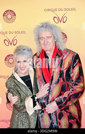 London, Großbritannien. Januar 2026. Sir Brian May und Lady Anita Dobson nehmen an der britischen Premiere der Cirque du Soleil Produktion von „OVO“ in der Royal Albert Hall in London teil. Quelle: LFP/Alamy Live News Stockfoto