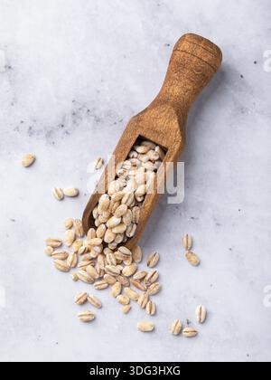 Perlengerste in einer Holzlöffel auf einem Tisch, Draufsicht, authentisches Foto, nicht AI-generiert Stockfoto