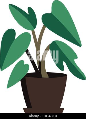 Eine voll belaubte Zimmerpflanze mit geclusterten ovalen Blättern, die aus dunklen Stämmen in einem tiefen Topf wachsen. Stock Vektor