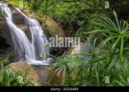 Kleiner Wasserfall, der über Dark Rock im üppigen Tropical Forest in der Nähe von Ella, Sri Lanka fließt Stockfoto