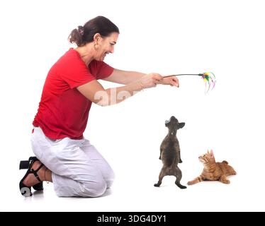 ingwerkatze, Bullterrier und Frau vor weißem Hintergrund Stockfoto