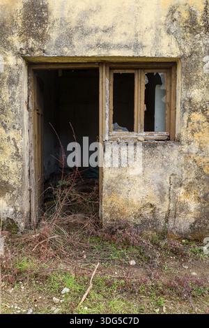 Detail eines zerbröckelnden Hauseingangs, der die langsame und stille Invasion der Natur in von Menschen geschaffene Räume zeigt. Stockfoto