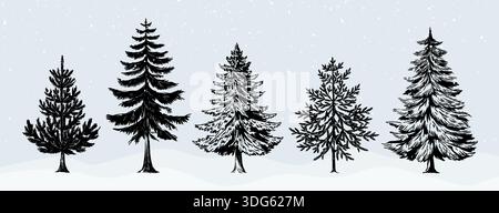 Weihnachtsbaum. Handgezeichnete Gravur Kiefer, Schwarzätztanne oder Winterwald-Pinetree. Pflanzenzweig Silhouette, umrandet Naturholz. Traditionelle Silvester-Symbolfeier. Vektor-isolierte Abbildung Stock Vektor