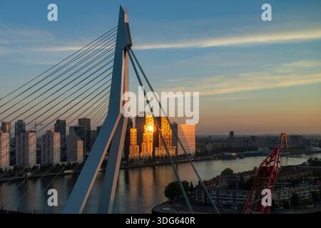 Panoramablick auf die Skyline entlang des Nieuwe Maas Flusses in Rotterdam, Niederlande bei Sonnenaufgang, während die Sonne in Gebäuden und oben glitzert Stockfoto